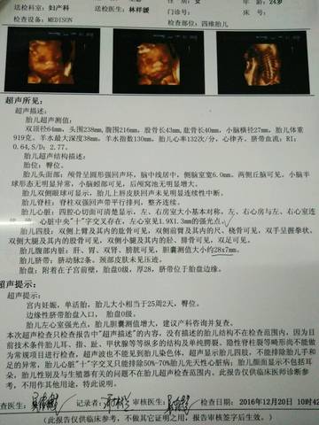 journal_insert_pic_629634303