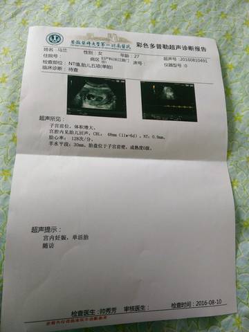 journal_insert_pic_629873236
