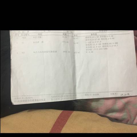 journal_insert_pic_629696260