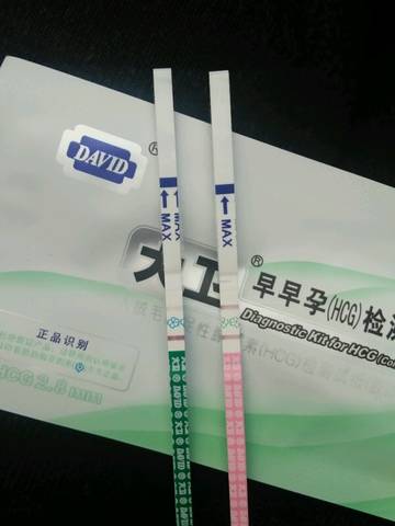 journal_insert_pic_629396219