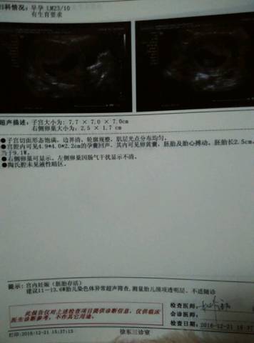 journal_insert_pic_630682406