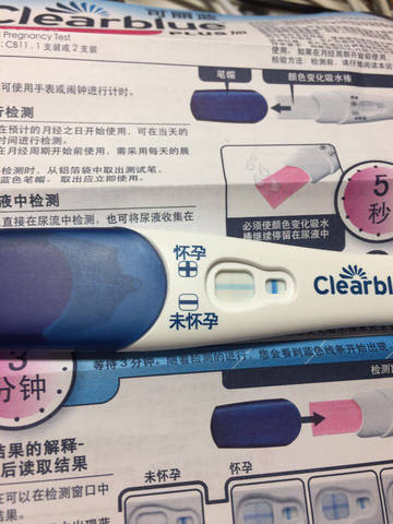 journal_insert_pic_630446138