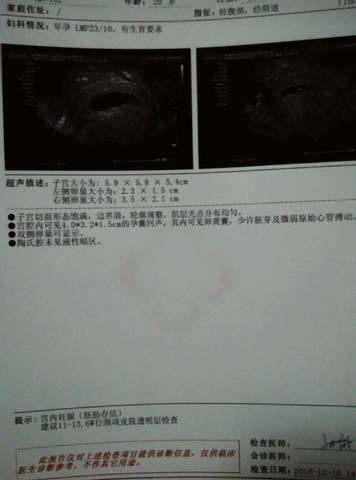journal_insert_pic_630682339