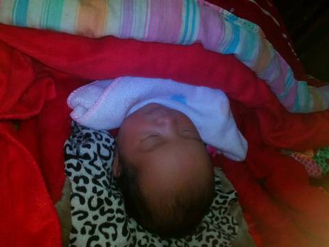 journal_insert_pic_630894826