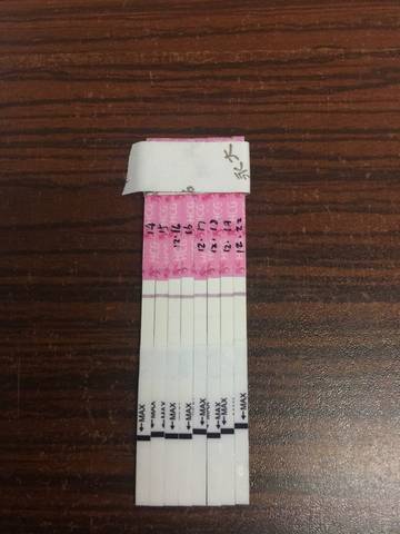 journal_insert_pic_630789072
