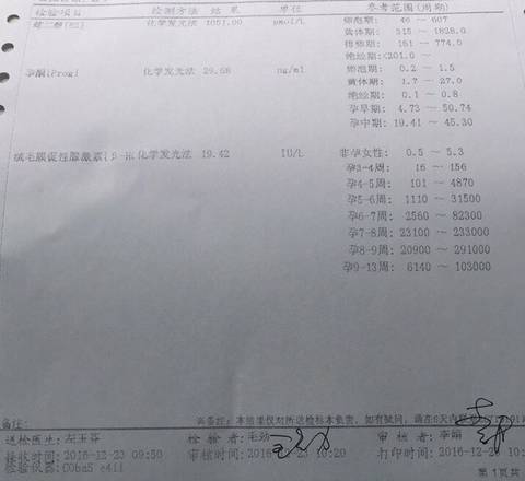 journal_insert_pic_631862308
