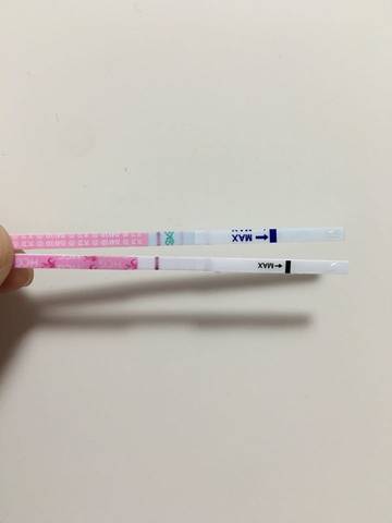 journal_insert_pic_631452208