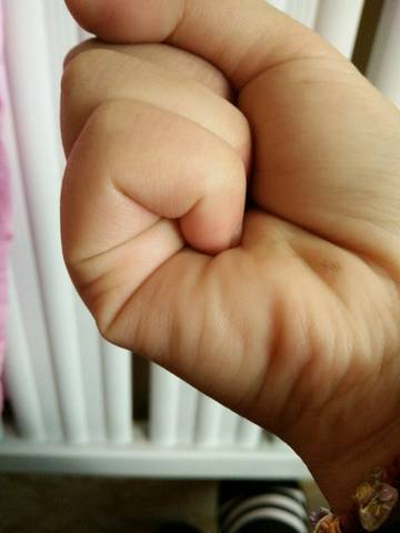journal_insert_pic_632421683