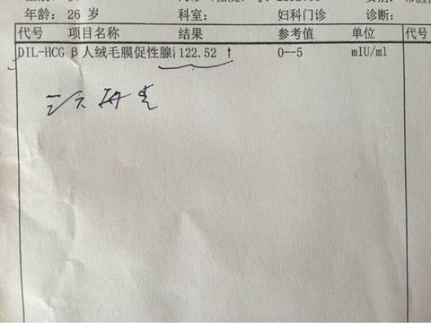 journal_insert_pic_633052958