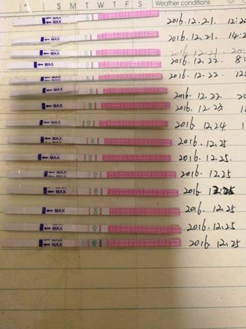 journal_insert_pic_633333315