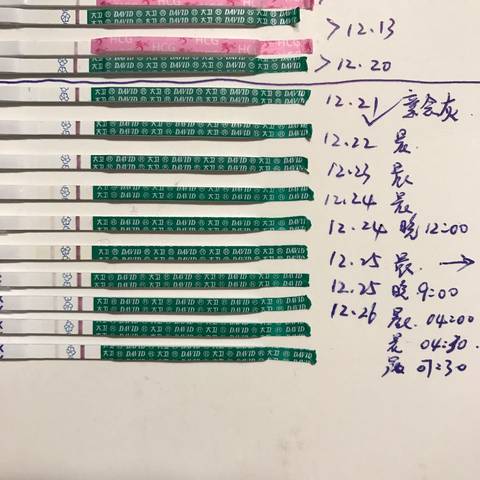journal_insert_pic_633710477