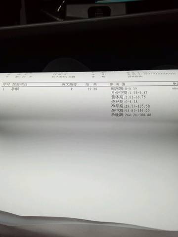 journal_insert_pic_633783046