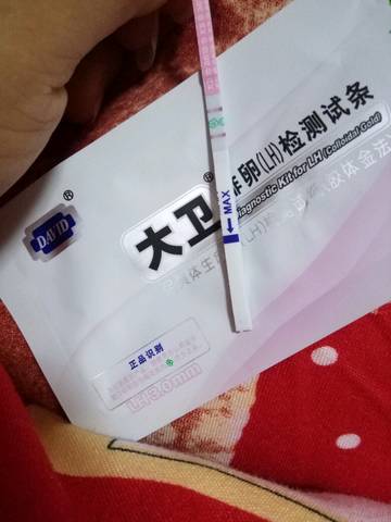 journal_insert_pic_634437655