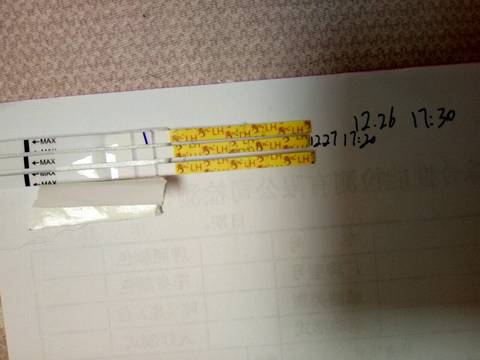 journal_insert_pic_635812599