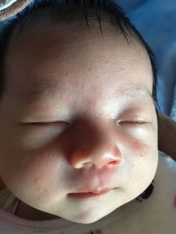 journal_insert_pic_635905064