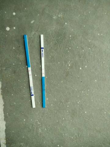 journal_insert_pic_636771715