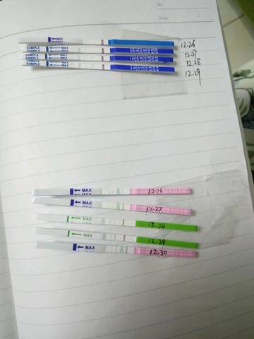 journal_insert_pic_637011172