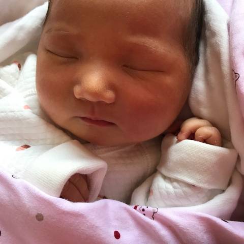 journal_insert_pic_636818135