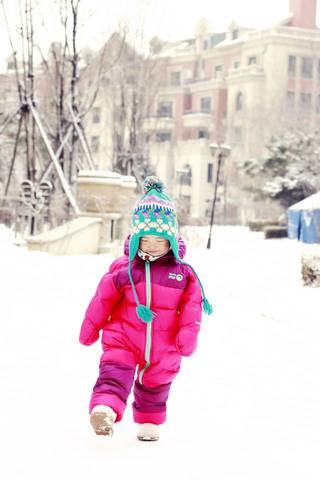 journal_insert_pic_638411663