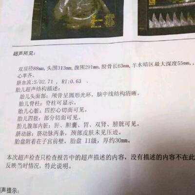 journal_insert_pic_639230112