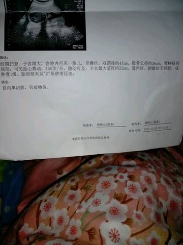 journal_insert_pic_639640642
