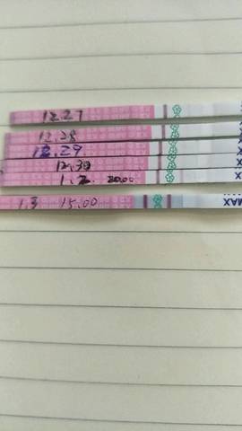 journal_insert_pic_639804595