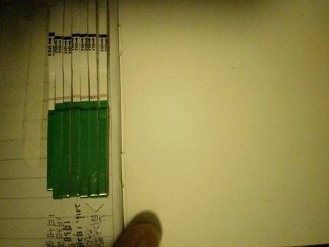 journal_insert_pic_640890792