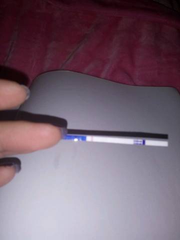 journal_insert_pic_640462366