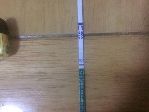 journal_insert_pic_640561450