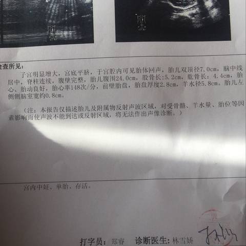 journal_insert_pic_640477681