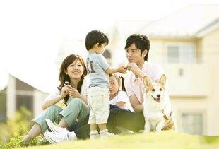 journal_insert_pic_640559027