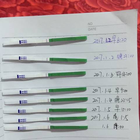 journal_insert_pic_642224414