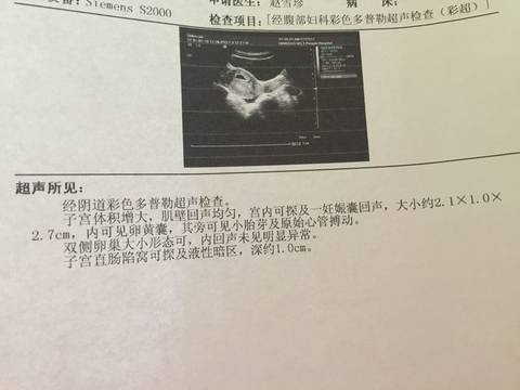 journal_insert_pic_643519149