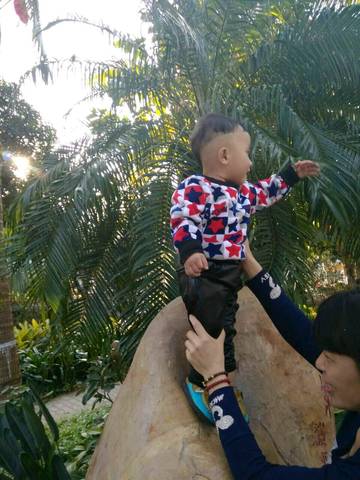 journal_insert_pic_644062015
