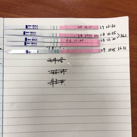 journal_insert_pic_643932996
