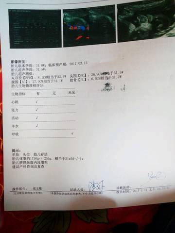 journal_insert_pic_646644836