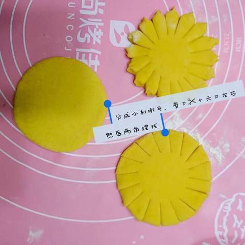 journal_insert_pic_647696589
