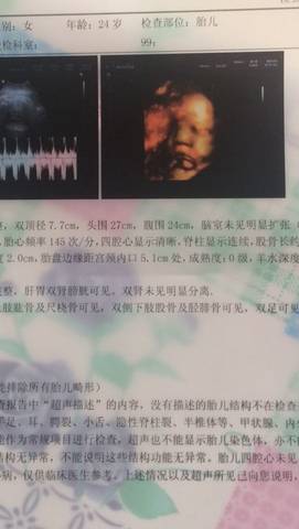 journal_insert_pic_647497687