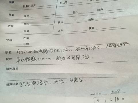 journal_insert_pic_649044604
