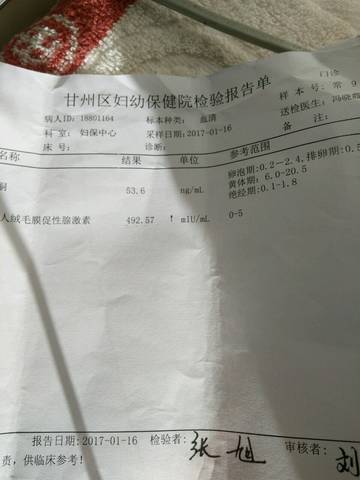 journal_insert_pic_649032550