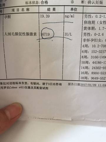 journal_insert_pic_649587465