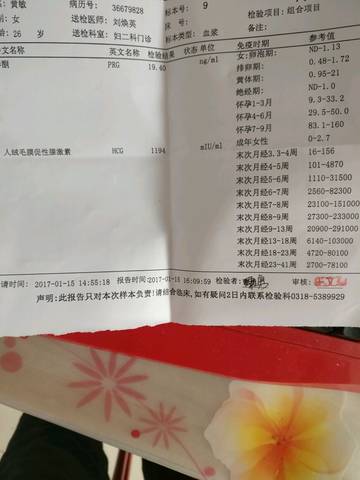 journal_insert_pic_649557867