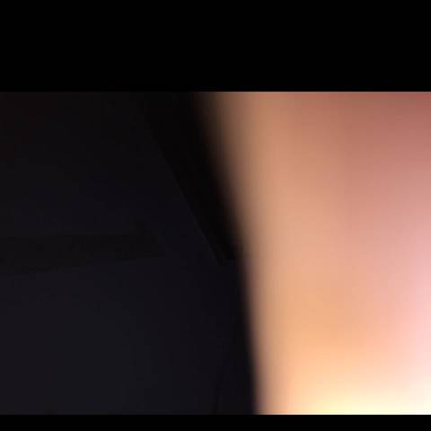 journal_insert_pic_650062421