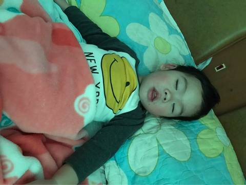 journal_insert_pic_650615706