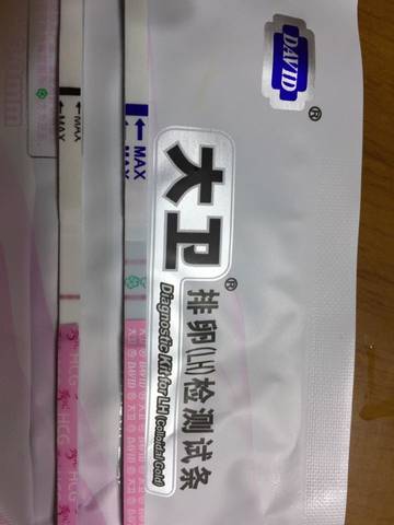 journal_insert_pic_650831839