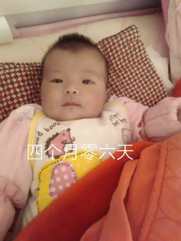 journal_insert_pic_652574855