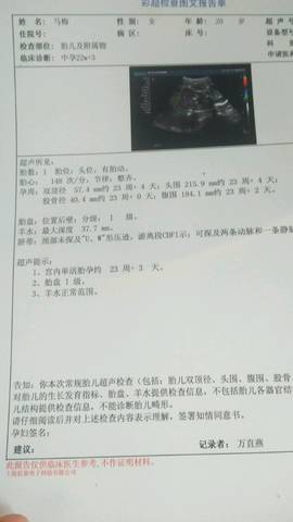 journal_insert_pic_653100740