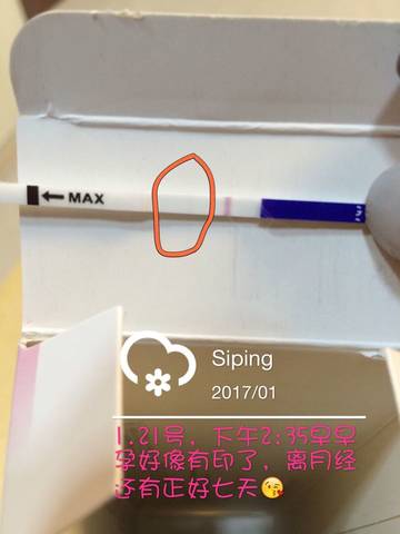 journal_insert_pic_653000145