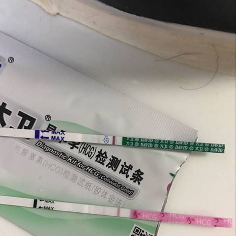 journal_insert_pic_652901874