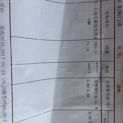 journal_insert_pic_654012637